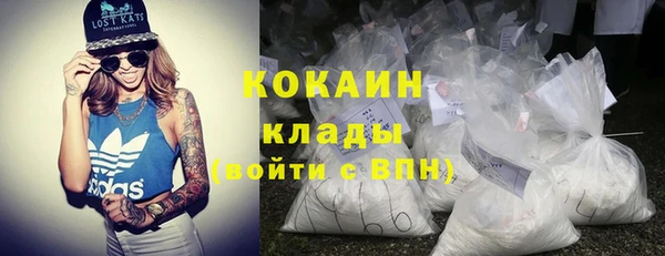 шишки Арсеньев