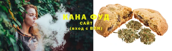 прущие грибы Надым