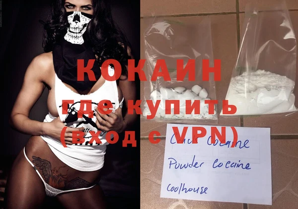 прущие грибы Надым