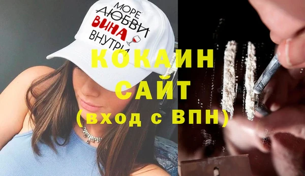прущие грибы Надым