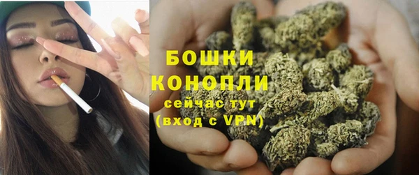 прущие грибы Надым