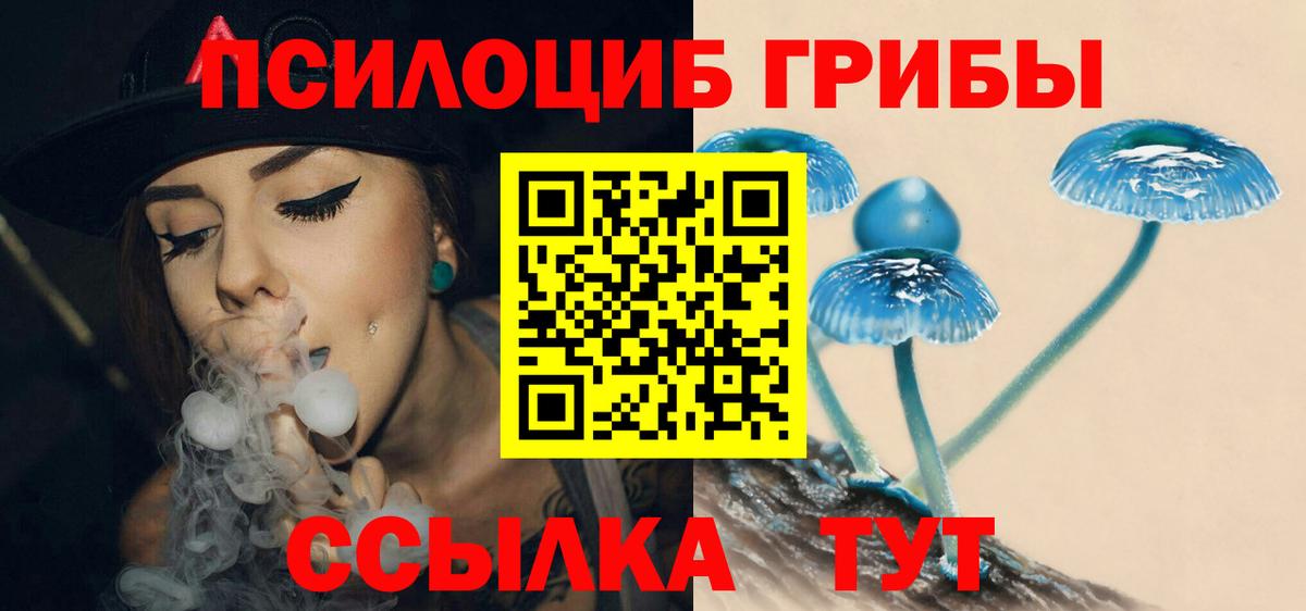 Галлюциногенные грибы MAGIC MUSHROOMS Великий Новгород