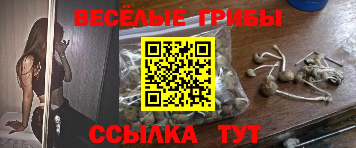 Псилоцибиновые грибы Magic Shrooms  Великий Новгород 