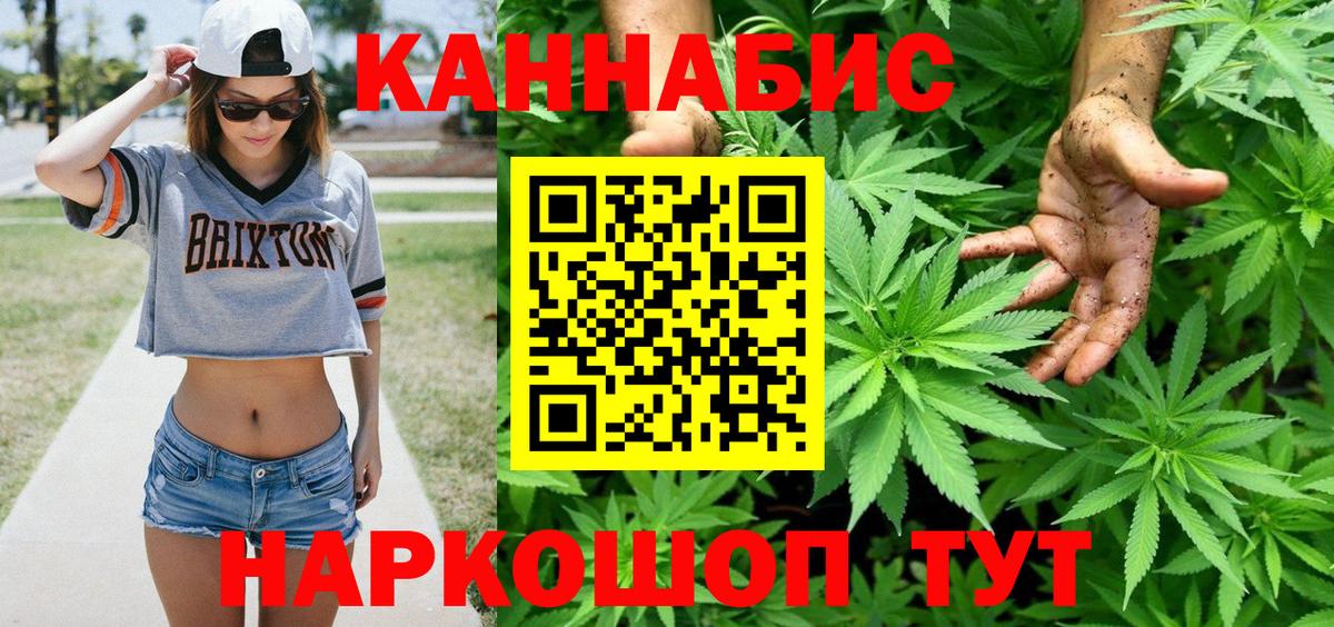 Конопля индика  МАРИХУАНА Ganja  Великий Новгород  Шишки марихуана план 
